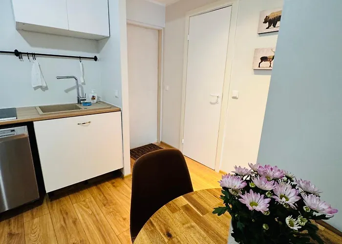 Appartement Downtown 1br With Parking Tallinn
