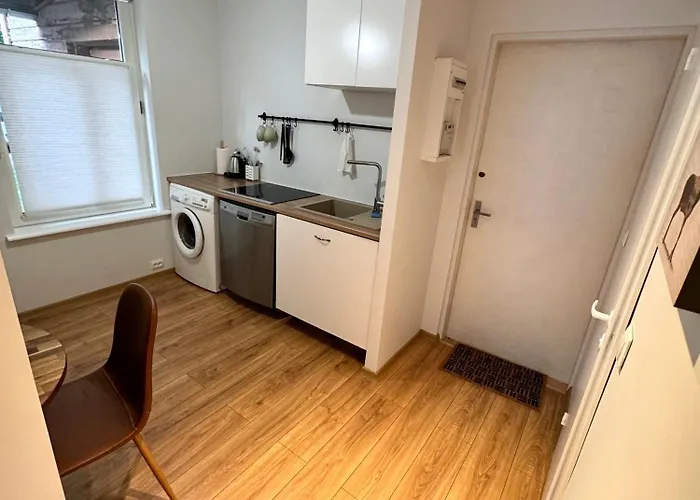 Downtown 1br With Parking Apartment *