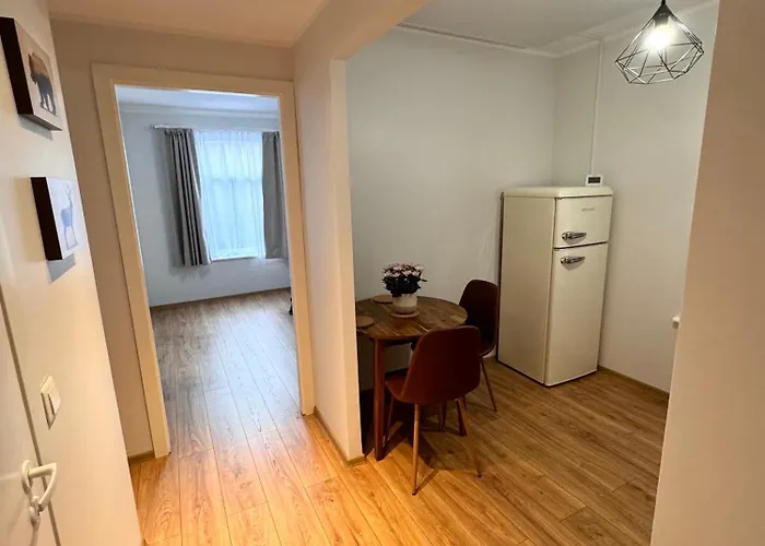 Downtown 1br With Parking Apartment