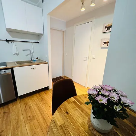 Apartamento Downtown 1br With Parking Tallin